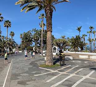 Strandpromenade Avenida de Cristobal de Colón