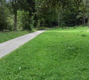 Sonnenaufgangs-Rundwanderung Rübgarten