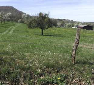 Wanderweg Hochgehkämpft