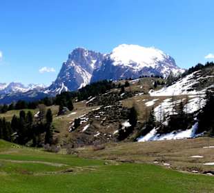 Fotomotive non stopp 