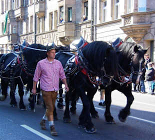 Grüner LKW Tucher Brauerei Fürth