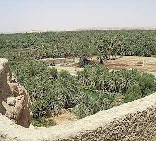 Siwa - die Oase der 60 000 Palmen