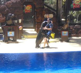 Ein kleines Tänzchen gefällig?