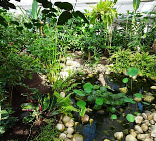 Rundgang durch den Jardin des Papillons