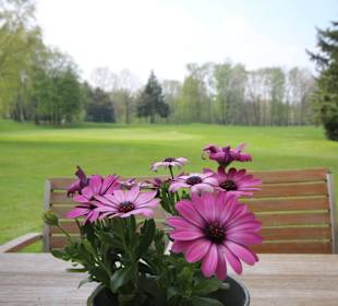 Blick von der Terrasse