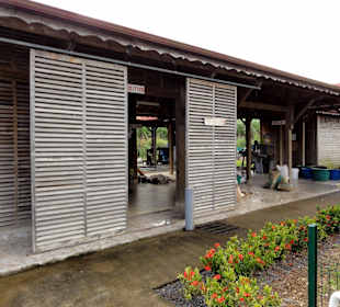 Die Cassaverie Capesterre