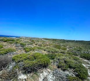 Rottnest Island