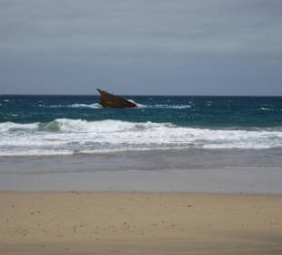 Wrack 2009