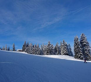 Grafenmatt, Feldberg