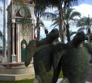 Uhr und Schildkröten