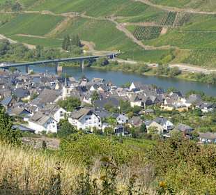 Wandern Burg (Mosel)