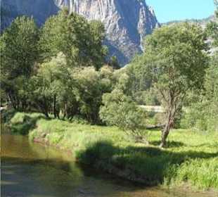 Merced River im Yosemite Nationalpark
