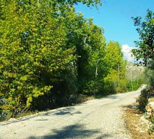 Rafting Selge National Park & Landschaft/An- & Abfahrt