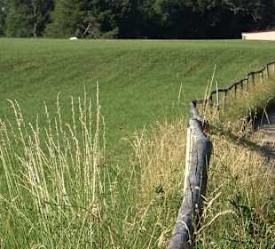 Burgruine Andeck Talheim