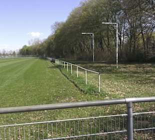 Sport- und Freizeitpark Markwasen