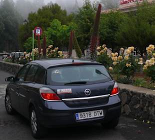 Mietwagen auf Teneriffa
