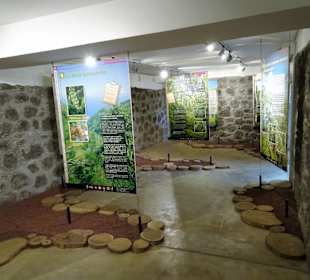 Sammlung im Botanischen Garten Mascarin