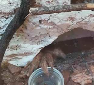 Happ Reptilien Zoo