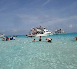 Blick auf Stingray City