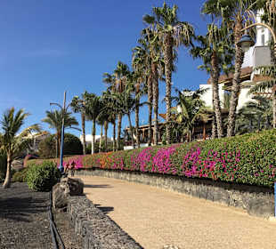 Blmenhäcke - Teil der Promenade