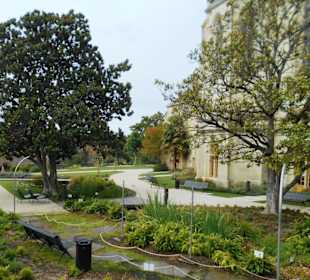 Jérôme Cuzin Centre