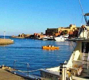 Stadtrundfahrt El Gouna-Ausflug ab Hurghada-Amy