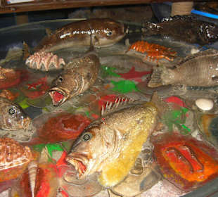 Sindbad Submarine Museum 