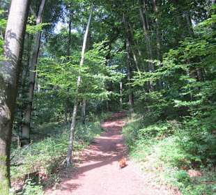 Auf dem Weg zur Landauer Hütte