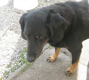 Erzherzog-Johann-Klause