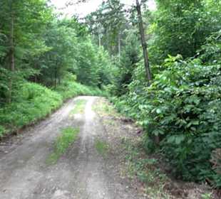 Schutzgebiet Spitzberg, Pfaffenberg