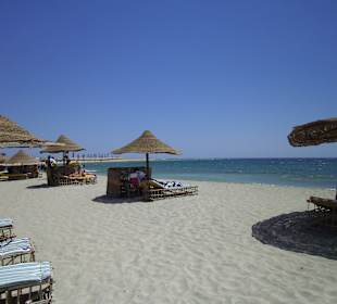  Abu Dabab bei den Wasserschildkröten und Seekühen