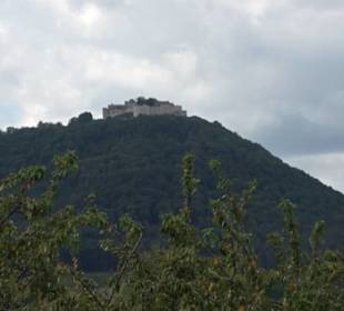 Hochgehnießen - Premiumspazierwanderweg