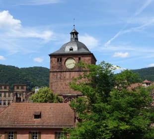 Schloss Heidelberg und Park