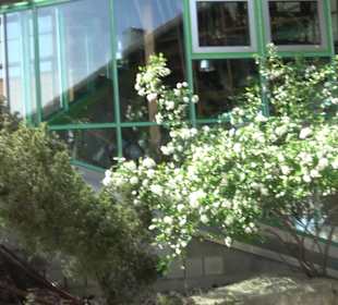 Mehrzweckhalle Seißen