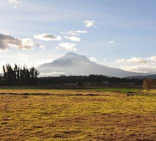 Chimborazo in der Abendsonne