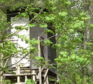 Wandertour durchs Reissenbachtal Oberhausen