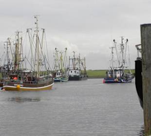 Fischereihafen Greetsiel (Krummhörn) 