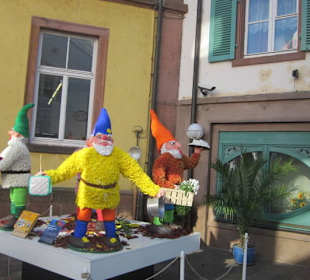 Chrysanthema Lahr