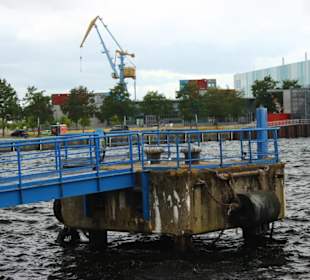Impressionen im Hafen von Wismar