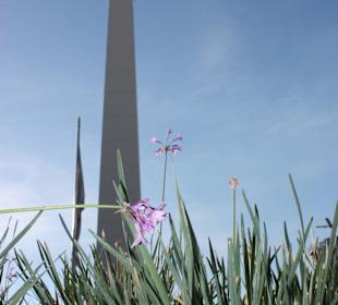 Obelisk Buenos Aires