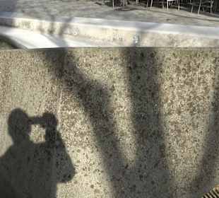 Stadtkirche St. Peter und Paul