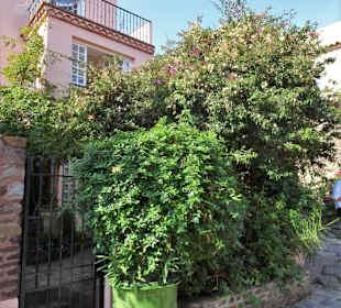 Impressionen aus der Altstadt von Collioure