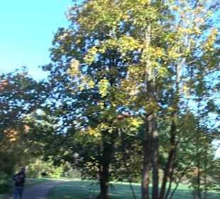 Botanischer Garten