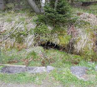 Karkonoski Park Narodowy