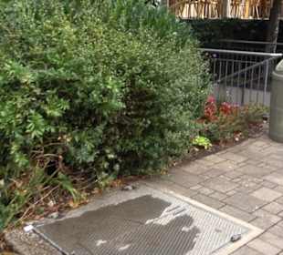 Erlebnispark Tripsdrill