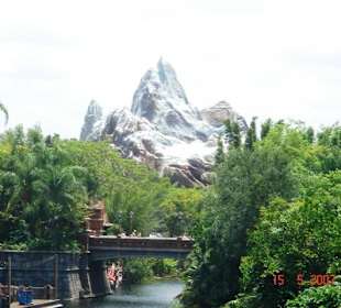 Animal Kingdom