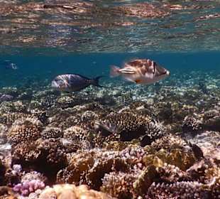 ... wir trennen uns...😂