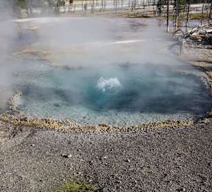 Yellowstone National Park