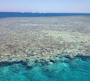 Ein Ausflug ans Riff zum Schnorcheln, mit Delfinen