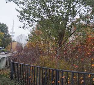 Parkanlage Planten un Blomen